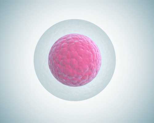 医院供卵吗,六安助孕提醒大家：与子宫肌瘤有关的美国试管知识，美国试管正