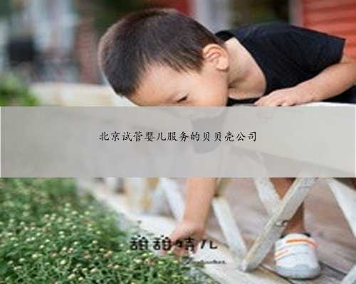 北京试管婴儿服务的贝贝壳公司