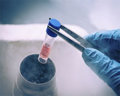 试管供卵多钱_正规供卵试管,正规试管婴儿过程,试管婴儿的过程步骤