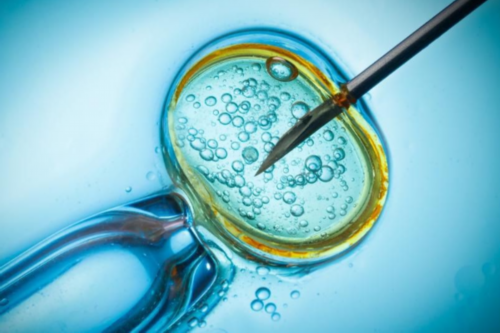 代生代怀孩子~女方梅毒可以三代试管婴儿吗？