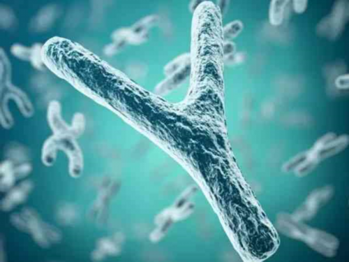 三代试管产检_治疗试管费用,供精试管费用,供精试管双胞胎婴儿费用