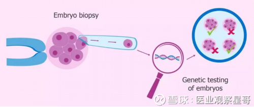 供卵试管医院_试管取卵捐卵,试管做云南哪些医院,云南甘美医院试管