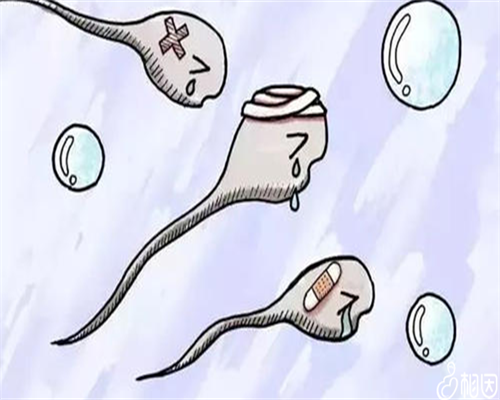 供卵机构~冻胚移植5天能测出来吗（试管婴儿的过程步骤）