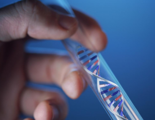 供卵自怀骗局_去做试管婴儿供卵,云南省曲靖市2026年最新供卵试管助孕医院排名