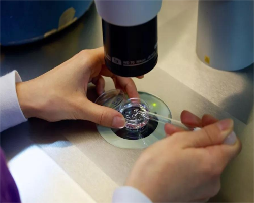 广州供卵试管代怀生子医院排名，附供卵生男孩费用一览！-合法试管代怀