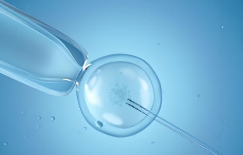 重庆代怀代怀产子 022重庆妇幼试管三代费用是多少？1 ‘孕囊指数看男女’