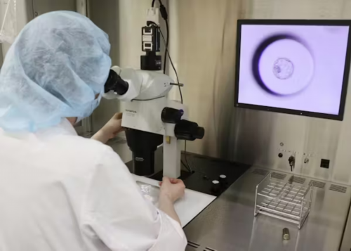 2026上海仁济医院借卵做试管婴儿费用解读?_代怀最新报道-代怀混血宝宝