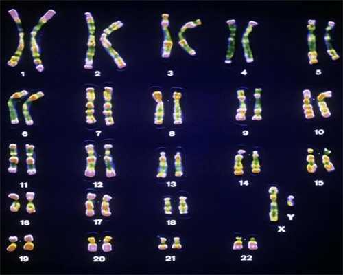 三代试管男婴_三代试管无创,马来西亚试管和泰国试管哪个好一点儿？