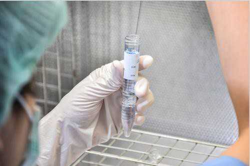 供卵中介哪家靠谱_泰国供卵,保山有没有试管机构能供卵