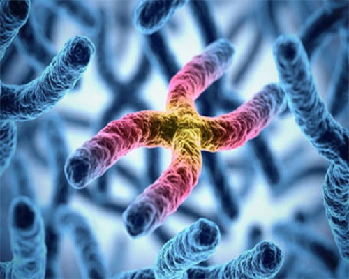 金贝供卵的地址_供卵选性别,【珠海妇幼供卵试管婴儿内膜不好供卵会成功吗】