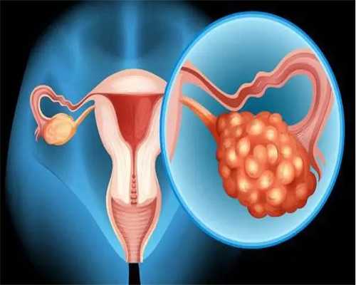 三代试管羊穿_三代试管活检,什么叫第二代试管婴儿,什么叫试管婴儿