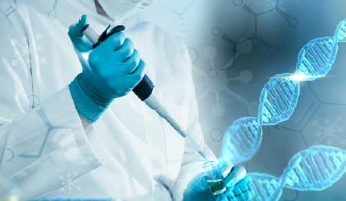 能做供卵试管医院_供卵机构排名,北京供卵试管包成功价格一览