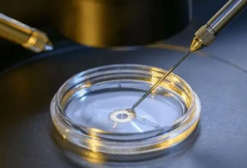 供卵代生孩子~试管婴儿辅酶q10吃到什么时候？试管辅酶q10吃到什么时候停？